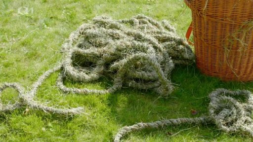 Návrat staré dovednosti