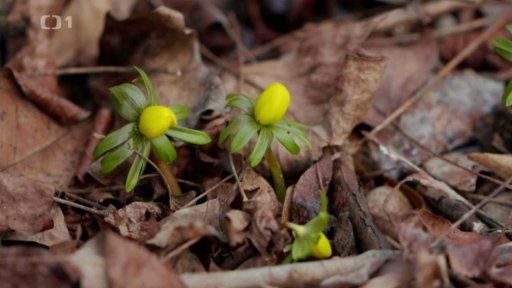 Práce na zahradě v březnu