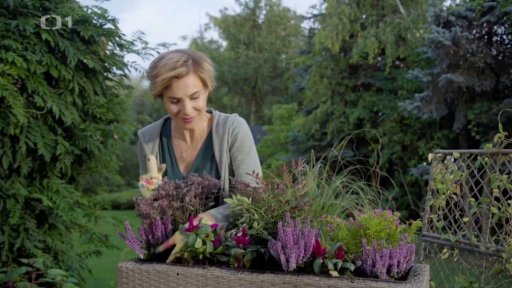 Podzimní osázení truhlíku