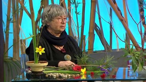 Týdenní seriál - ikebany