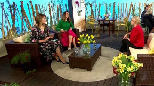 Transplantace vlasů - 1. část