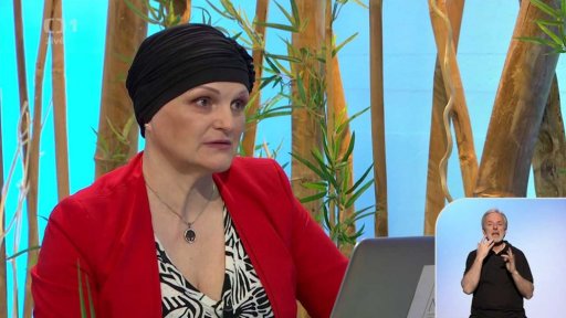 Den mateřštiny, stav českého jazyka