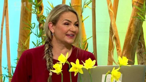 Umění komunikace s toxickými typy osobností