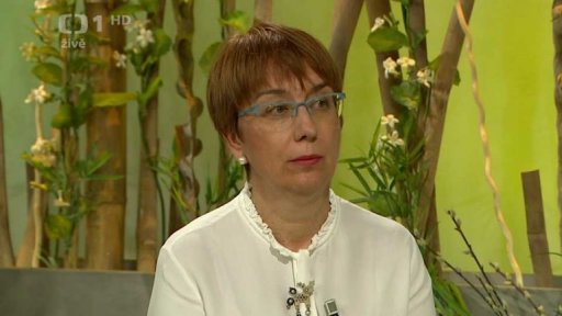 Česká asociace chův