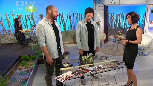 Kutilové na Výstavišti