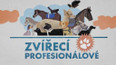 Zvířecí profesionálové