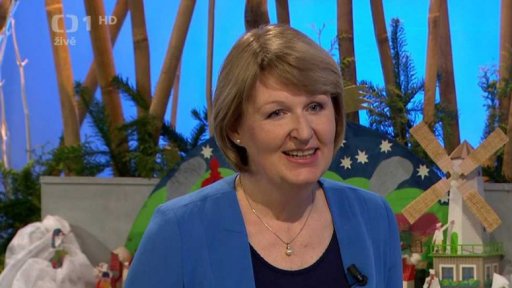 O správné češtině, vánoční slovník