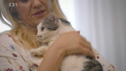 Nekontaktní Sissinka: v čem je problém?