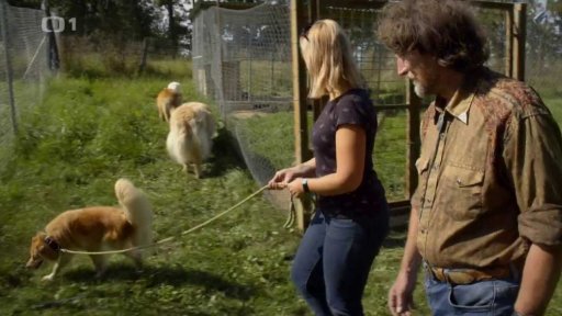 Strašpytel Marley: seznámení s koučem