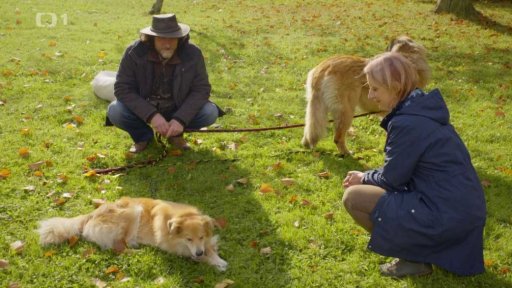 Strašpytel Marley: po měsíci