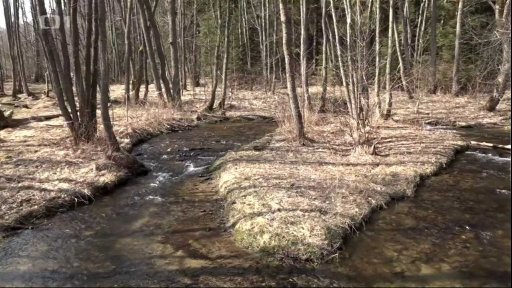 Podél říčky Ostružné