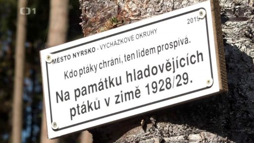 Výlet z Nýrska na Pajrek