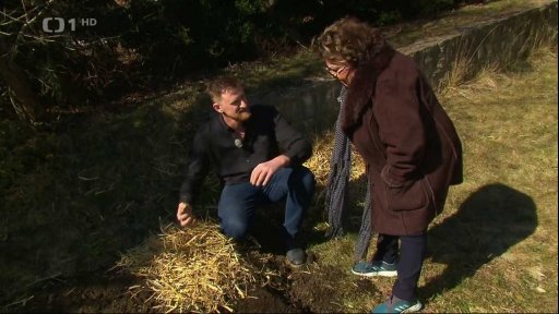 Pěstování brambor