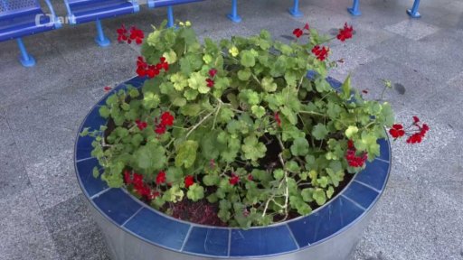 Umění na nádražích a v jejich okolí