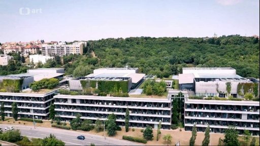 Jubilanti české výtvarné scény