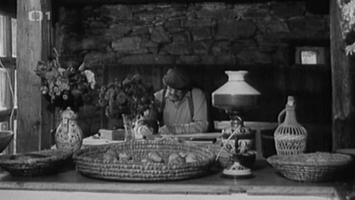 Malíř Adolf Hoffmeister