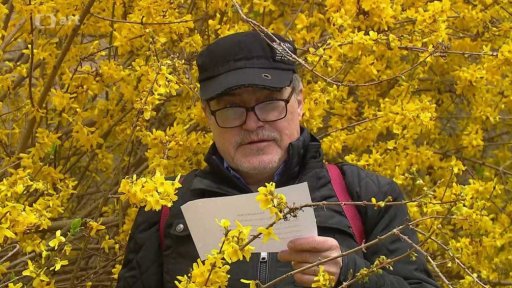 Encyklopedické heslo