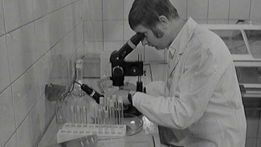 Kde a jak pečují o rozvoj našeho zelinářství