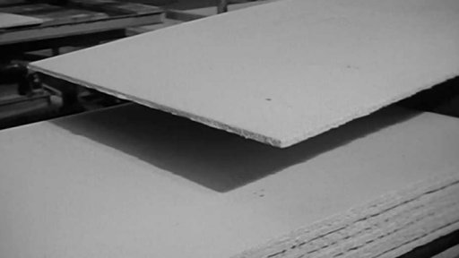 Nový závod na zpracování bukového kulatiny