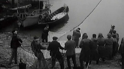 Jugoslávské Skadarské jezero