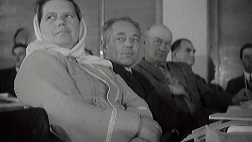 Okresní konference JZD