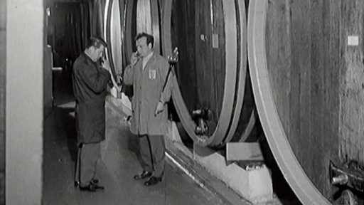 Tekuté slunce z Mikulova