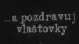 Uvedením filmu "... a pozdravuji vlaštovky" byly zahájeny krajské konference SSM