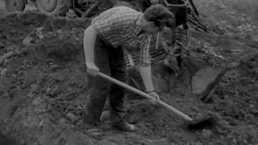 Na stavbě v JZD Čistá se sešla mládež z mnoha zemí Evropy