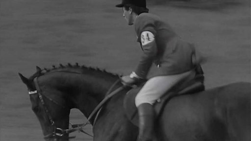 Mistrovství v jízdě na koni