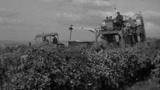 Kombajn na vinnou révu