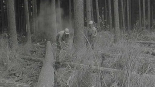 Hodnotný socialistický závazek lesních dělníků z Netolic