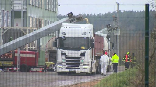 Likvidace drůbeže kvůli ptačí chřipce