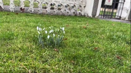 Dopady teplého počasí