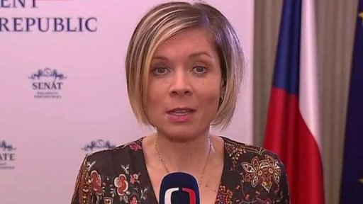 Jednání Petra Pavla s ústavními činiteli