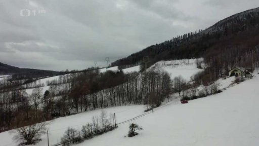 Varování před toulavým medvědem