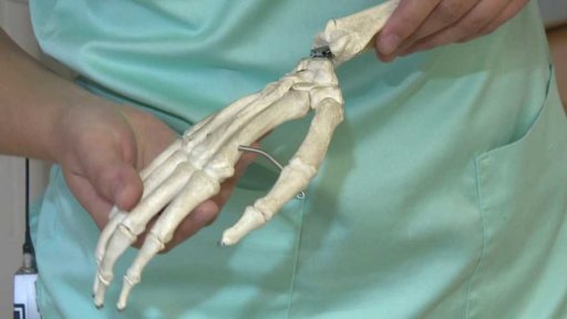 Skandál na Západočeské univerzitě