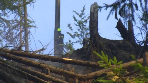 Oprava plotu nad Hřenskem