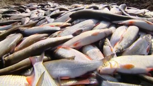 Soud v kauze otravy řeky Bečvy