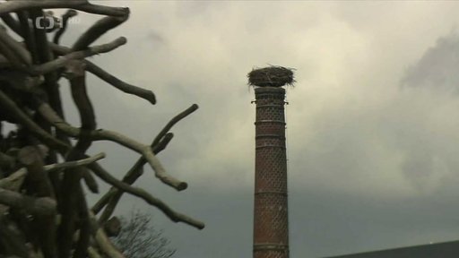 Daňové úniky v souvislosti s Farmou Čapí hnízdo