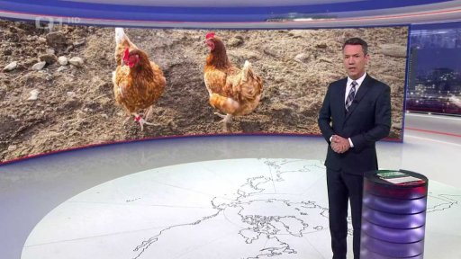 Vlastní chovy slepic