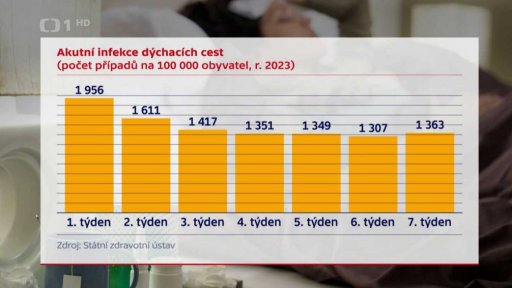 Infekce dýchacích cest