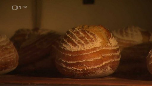 Investice a plány českých firem