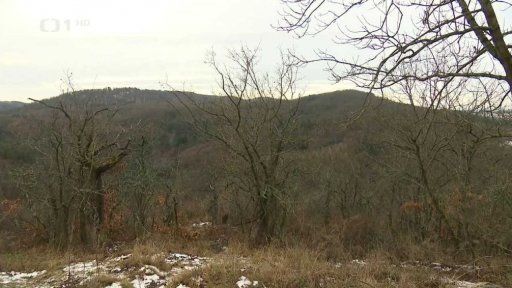 Debaty o NP Křivoklátsko