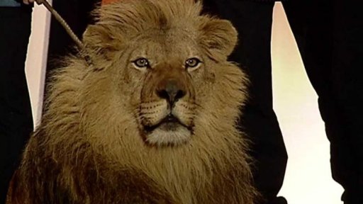 Proměny Českých lvů