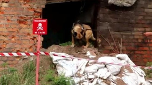 Odstraňování min na Ukrajině