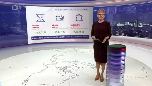 Průmyslová produkce podle odvětví