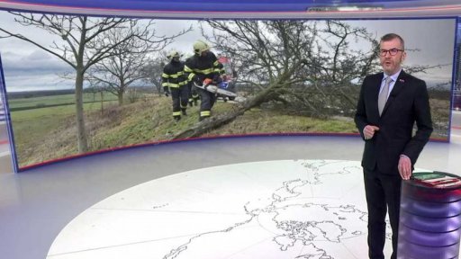 Úklid popadaných stromů