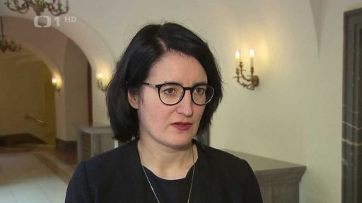 Předsudečné násilí