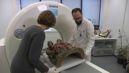 Průzkum Madony z Havraně