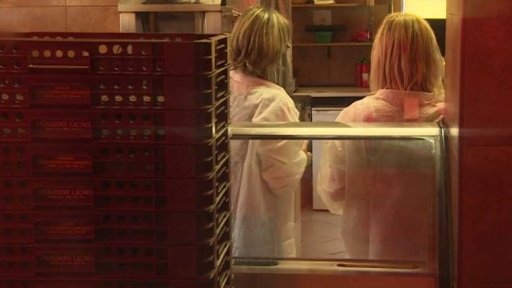 Salmonelóza v Hradci Králové